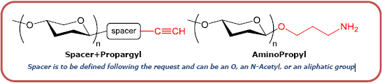 Isoglobo三糖-β-N(乙酰基)-丙炔,Isoglobotriaose-β-N(Acetyl)-Propargyl,   Galα1-3Galβ1-4Glcβ-NAc-Propargyl, C23H37NO16, 货号：GLY070-NPR
