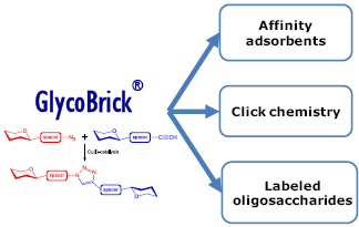 Isoglobo三糖-β-N(乙酰基)-丙炔,Isoglobotriaose-β-N(Acetyl)-Propargyl,   Galα1-3Galβ1-4Glcβ-NAc-Propargyl, C23H37NO16, 货号：GLY070-NPR
