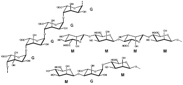 海藻酸聚糖 (Alginate polysaccharides) 天然来源的海藻酸聚糖，钠盐形式。由(1-4)链接的 β-D-甘露糖醛酸 (M)和C-5位差向异构体α-L-古罗糖醛酸 (G)残基均聚嵌段在不同的序列或嵌段共价连接在一起。货号：ALG100, ALG101, ALG101, ALG102, ALG103, ALG104