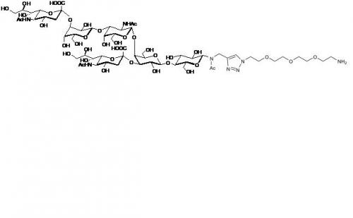GD1a神经节苷脂类糖-β-N-乙酰-空间结构1-胺,GD1a Ganglioside sugar-β-NAc-sp1-NH2, Fucα1-2Galβ1-3GalNAcβ1-4 (Neu5Acα2-3)Galβ1-4Glcβ-N-Acetyl-propargyl, C66H108N9O38NaS, 货号：GLY098-NAc-Sp1-NH2