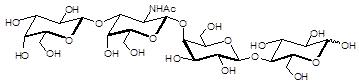 神经节苷脂类糖 GA1, aGM1 / Ganglioside sugar asialo GM1 / GA1, Galβ1-3GalNAclβ1-4Gallβ1-4Glc, C26H45NO21 ,  [75645-24-8],  货号：GLY102