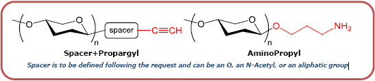 A血型抗原六糖1型-β-N-乙酰基-空间构型1-胺,Blood group A hexaose type 1 β-NAc-spacer1-NH2, GalNAcα1-3(Fucα1-2)Galβ1-3GlcNAc β1-3Galβ1-4Glcβ-NAc-Spacer1-NH2, 货号：GLY037-1-NAc-sp1-NH2