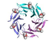 凝集素，来源于青枯菌, RSL from Ralstonia solanacearum, 货号：LEC202