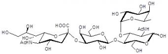 唾液素Lewis X抗原四糖, Sialyl LewisX (SLeX) tetraose, Neu5Acα2-3Galβ1-4(Fucα1-3)GlcNAc。C31H51N2O23Na 。[98603-84-0]。货号：GLY047