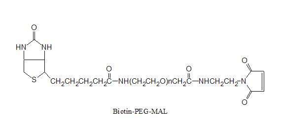 Laysan 生物素-PEG-马来酰亚胺 Biotin-PEG-Maleimide，Biotin-PEG-MAL，一侧是生物素，另一侧是马来酰亚胺的双官能团聚乙二醇。聚乙二醇-生物素，具备亲和素和链霉亲和素反应活性的聚乙二醇衍生物，可通过生物素-链霉亲和素相互作用，用于生物大分子和其它表面修饰。马来酰亚胺在PH6.5-7.5通过Michael加成选择性与硫醇、巯基形成稳定的碳-硫键，可以用于蛋白质特定位点和多肽的修饰。