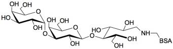 异球抗原三糖-BSA / 3'-半乳糖乳糖-BSA / 线性B-6三糖-BSA, Isoglobotriaose linked to BSA/ iGb3-BSA / 3'-Galactosyl-lactose-BSA / Linear B-6 trisaccharide linked to BSA，Galα1-3Galβ1-4Glc。货号：GLY070-BSA