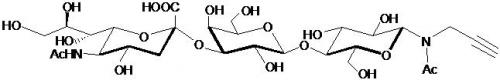 GM3神经节苷脂类糖-β-N-乙酰基丙炔,GM3/3' Sialyllactose-β-(N-Acetyl)-Propargyl GM3神经节苷脂类糖-β-N-乙酰基丙炔,GM3 / 3' Sialyllactose-β-(N-Acetyl)-Propargyl, Neu5Acα2-3Galβ1-4Glcβ-NAc-Prop C28H43N2O19Na , 货号:GLY090-NPR