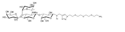 Lewis X抗原四糖-N-乙酰基-间隔1-胺, Lewis X tetraose-Nacetyl-spacer1-NH2, Galβ1-4(Fucα1-3)GlcNAcβ1-3Galβ-NAc-sp1-NH2。货号：GLY050-Nac-sp1-NH2