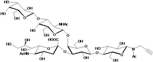 GM1a神经节苷脂类糖-N-乙酰基-β-丙炔,GM1a Ganglioside sugar-NAc-β-Propargyl, Galβ1-3GalNAcβ1-4(Neu5Acα2-3)Galβ1-4 Glcβ-NAc-Propargyl, C42H66N3O29Na, 货号：GLY096-NPR