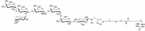 Globo-B七糖-N-乙酰基-空间构型3-生物素 , Globo-B heptaose-N acetyl-spacer 3-Biotin, Galα1-3(Fucα1-2)Galβ1-3GalNAcβ1-3Galα1-4Galβ1-4Glc-N Acetyl-Spacer 3-biotin, 货号：GLY125-NAc-sp3-Bt