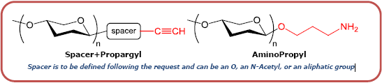 岩藻糖乳糖-N(乙酰基)-丙炔, Fucosyllactose-N(acetyl)-propargyl (3-FL),   Galβ1-4(Fucα1-3)Glcβ-N(acetyl)-propargyl, C23H37NO15, 货号：GLY060-NPR