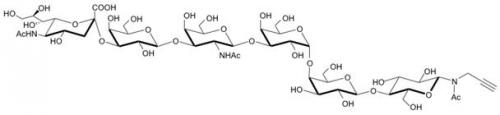 SSEA-4六糖-β-N-乙酰基-丙炔,SSEA-4 hexaose-β-NAc-Propargyl SSEA-4六糖-β-N-乙酰基-丙炔,SSEA-4 hexaose-β-NAc-Propargyl, NeuAcα2-3Galβ1-3GalNAcβ1-3Galα1-4 Galβ1-4Glcβ-NAc-Propargyl, C48H76N3O34Na, 货号:GLY131-NPR