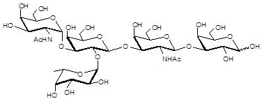 Blood group B antigen hexaose type 1-NAc-spacer2-NH2 B血型抗原六糖1型-N-乙酰基-间隔2-氨基, Blood group B antigen hexaose type 1-NAc-spacer2-NH2,Galα1-3(Fucα1-2)Galβ1-3GlcNAcβ1-3Galβ1-4Glcβ-NAc-sp1-NH2。货号:GLY040-1-NAcsp2-NH2