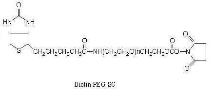 Laysan 生物素-PEG-琥珀酰亚胺碳酸酯 Biotin-PEG-SC，Biotin-PEG-SC，一侧是生物素，另一侧是NHS酯的双官能团聚乙二醇。N-羟基琥珀酰亚胺 (NHS) 活性酯可以和赖氨酸的胺基团在温和的反应条件，形成生理稳定的酰胺键。