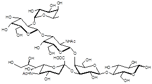 岩藻糖GM1神经节苷脂类糖, Fucosyl GM1 Ganglioside sugar，Fucα1-2Galβ1-3GalNAcβ1-4(Neu5Acα2-3)Galβ1-4Glc，C43H71N2O33Na，货号：GLY103