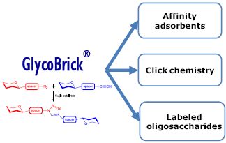 Globo三糖-β-N-乙酰基-丙炔,Globotriaose-β-NAc-Propargyl (Gb3/ Pk antigen), Galα1-4Galβ1-4Glcβ-NAc-Propargyl, C23H37NO16, 货号：GLY120-NPR