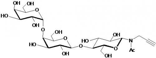 Globo三糖-β-N-乙酰基-丙炔,Globotriaose-β-NAc-Propargyl (Gb3/ Pk antigen), Galα1-4Galβ1-4Glcβ-NAc-Propargyl, C23H37NO16, 货号：GLY120-NPR