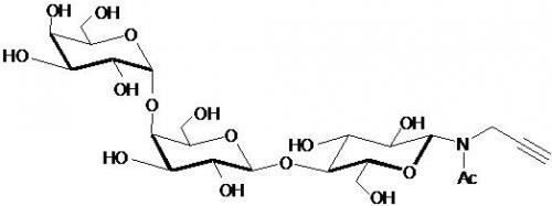 Globo三糖-β-N-乙酰基-丙炔,Globotriaose-β-NAc-Propargyl (Gb3/ P<sup>k</sup> antigen) Globo三糖-β-N-乙酰基-丙炔,Globotriaose-β-NAc-Propargyl (Gb3/ Pk antigen), Galα1-4Galβ1-4Glcβ-NAc-Propargyl, C23H37NO16, 货号:GLY120-NPR