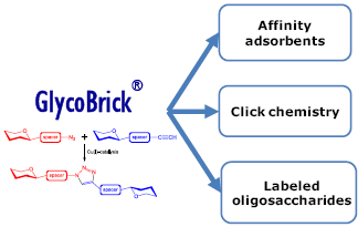 乳糖-N-四糖-β-O-氨丙基, Lacto-N-tetraose-β-O-Aminopropyl / LNT-β-O-AP, Galβ1-4( Fucα1-3)GlcNAcβ1-3Galβ-O-CH2-CH2-CH2-NH2, 货号：GLY010-OAPb