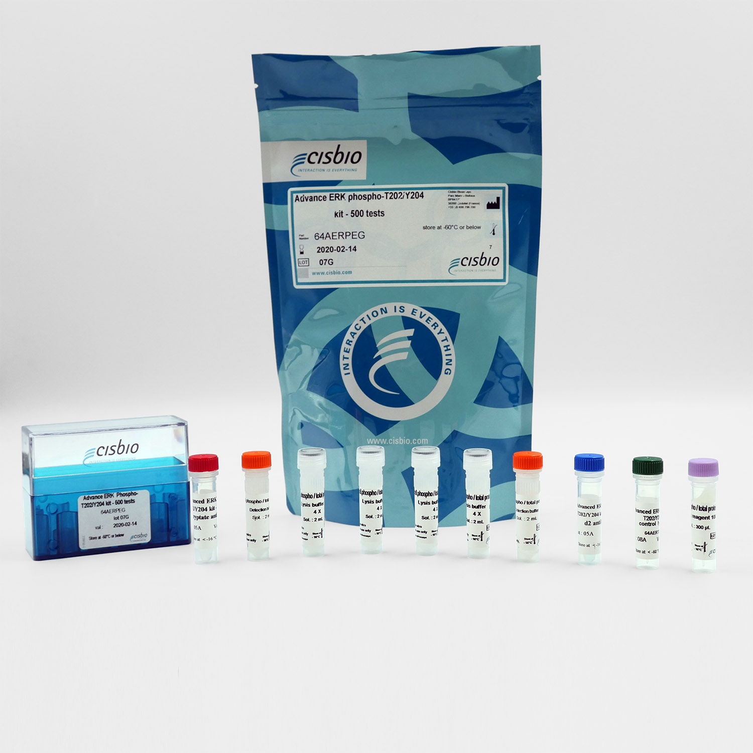 ERK phospho检测试剂盒,Thr202/Tyr204磷酸化试剂盒